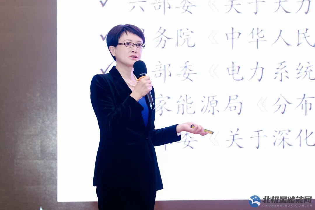 刘亚芳：136号文推动储能新机遇，复合与耦合储能成未来重点
